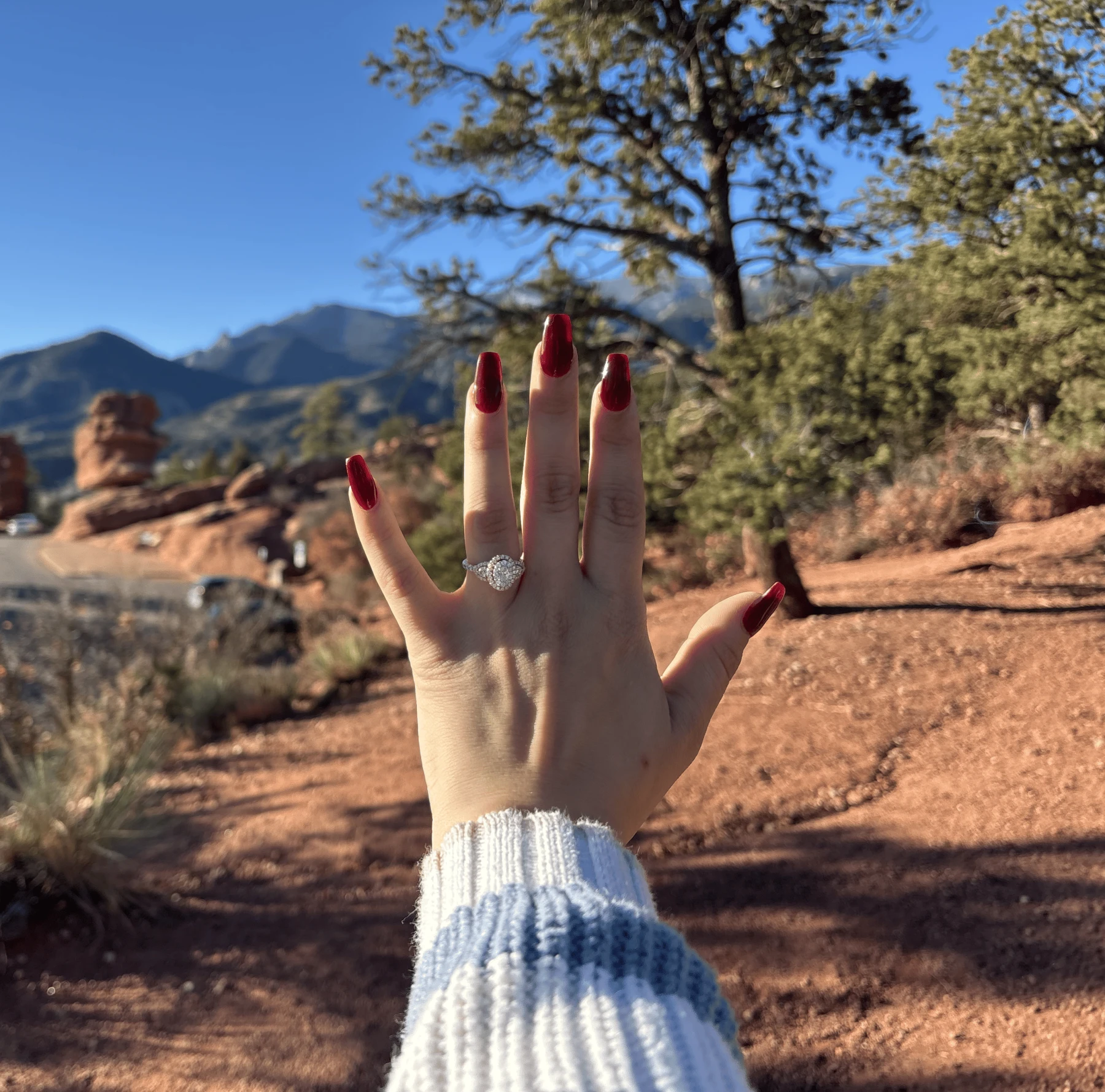 The proposal at Garden of the Gods
